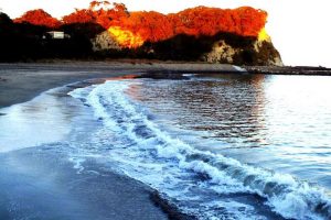 丹ヶ浦側から見た紅葉の八幡岬