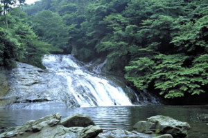 養老渓谷・粟又の滝 (初夏)