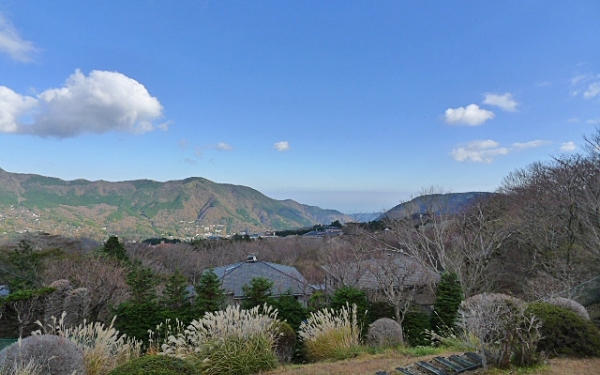 箱根強羅別荘地の景観 (後方は相模湾)