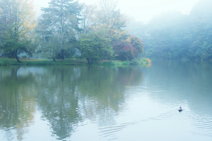1. 霧にかすむ塩沢湖