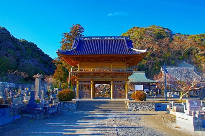 日蓮宗本山「妙覚寺」